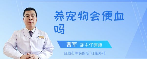 养宠物会便血吗