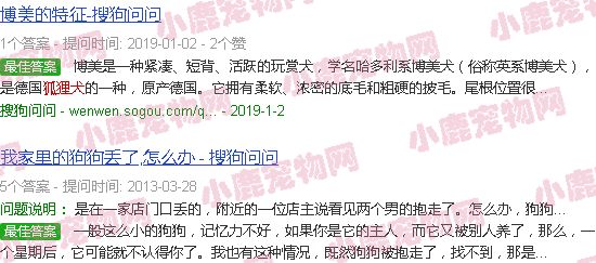 狐狸犬种和狼犬种