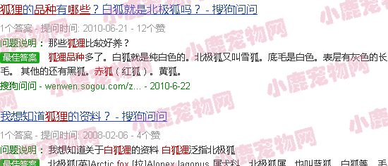白狐狸是什么品种