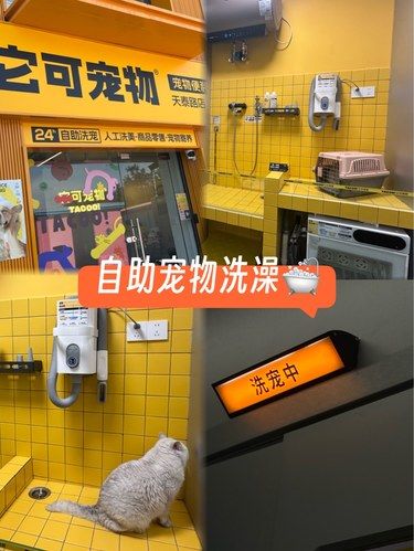 自助洗宠物