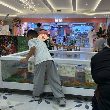 社会山中心二层鲤小宠