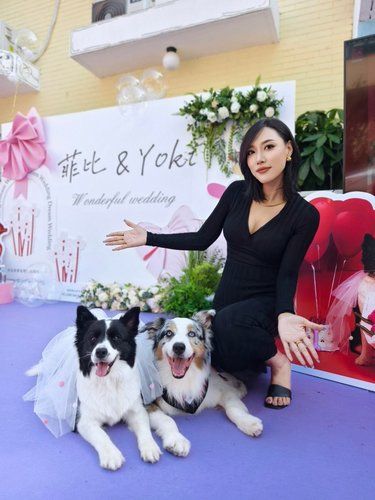我也算是参加过修狗婚礼的人了！ 