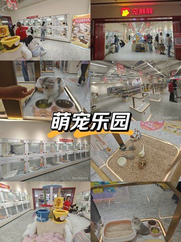 宠物店欢乐多