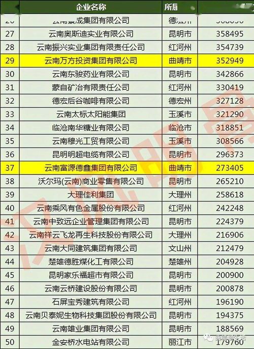 贵阳宠物学校哪家好？口碑哪家强？