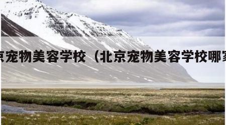 北京宠物美容学校（北京宠物美容学校哪家好）