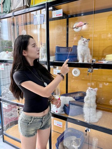 喵喵喵miao～
