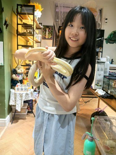 小蛇不是冷冰冰