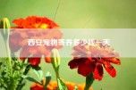 西安宠物寄养多少钱一天