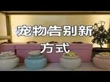 上海嘉定区正规宠物火化-上海宠物殡葬专业服务