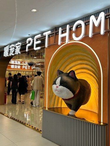 心动萌宠萌萌哒