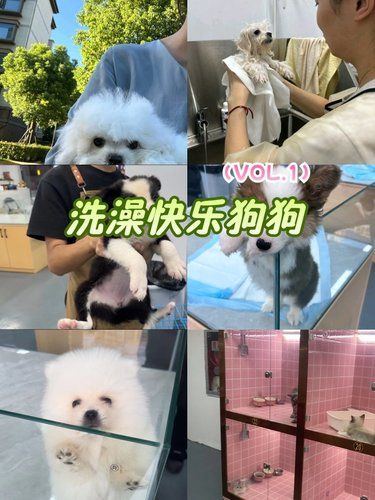 洗澡快乐狗狗