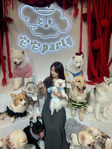 狗狗大合照！！陷入狗狗的包围圈！！