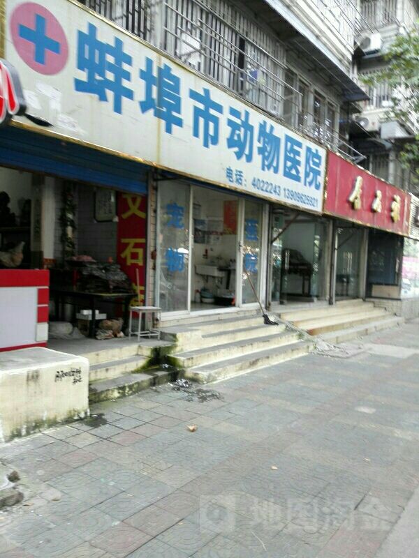 蚌埠看动物医院(延安路店)