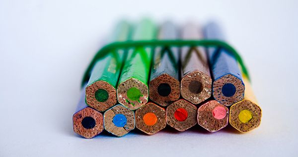 2024年宠物培训芜湖哪里好一点