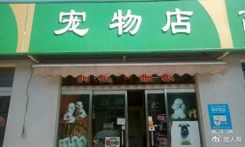 宠物商店（Pet Shop）是位于居民区附近，以经营宠物衣食住行各方面商品为主，满足宠民需要为主旨的小型商店