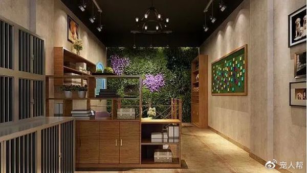 未来线下宠物体验店设想