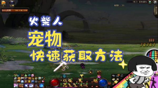dnf宠物_宠物dnf手游_宠物dnf白嫖