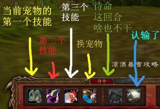 魔兽世界小宠物升级技巧 如何快速提升宠物战斗力