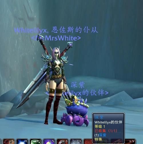 魔兽世界小宠物升级技巧 如何快速提升宠物战斗力