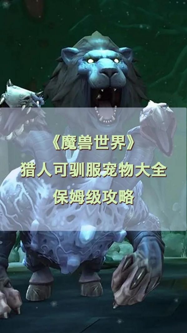 魔兽世界小宠物升级技巧 如何快速提升宠物战斗力