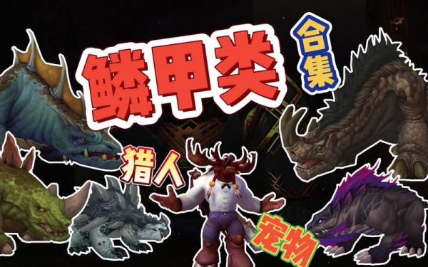 魔兽世界鳞甲类宠物对战技巧 用鳞甲宠轻松赢竞技场