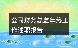 公司财务总监年终工作述职报告