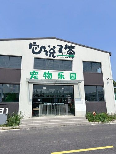 宝贝说了算