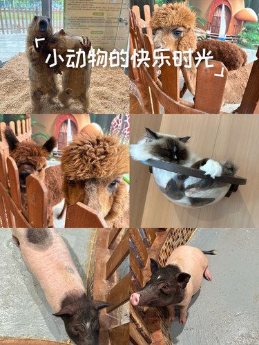 主子在上