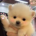 https://p1.meituan.net/userheadpicbackend/800075fc4e487d39f326b6153d58c2b11037363.jpg%40120w_120h_1e_1c_1l%7Cwatermark%3D0