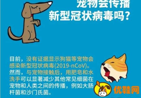 武汉宠物救助已暂停上门喂食 武汉隔离宠物怎么办