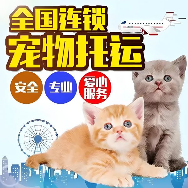 西双版纳 正规托运 托运费用