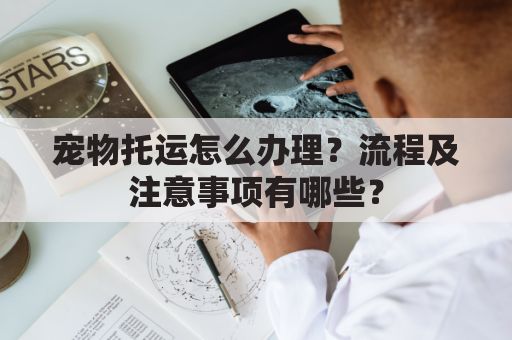 宠物托运怎么办理？流程及注意事项有哪些？