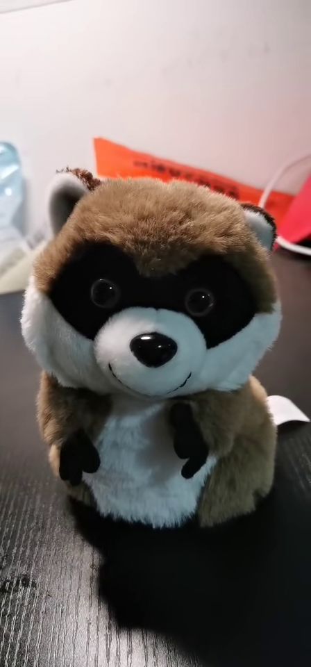 “宠物小浣熊价格揭秘，一睹为快！”