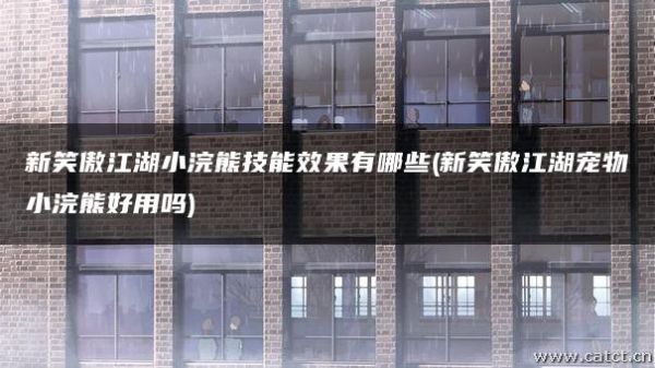 新笑傲江湖小浣熊技能效果有哪些(新笑傲江湖宠物小浣熊好用吗)