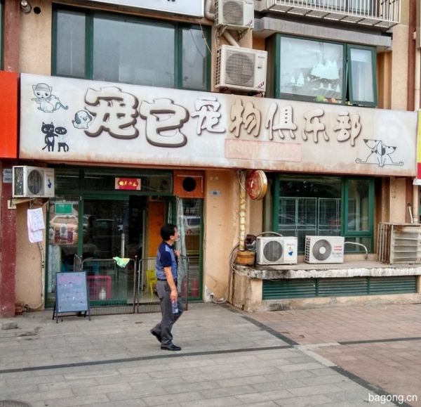 宠它宠物 封面大图