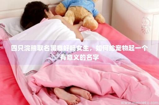 四只浣熊取名寓意好吗女生，如何给宠物起一个有意义的名字