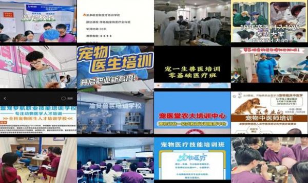 宠物医生培训学校成都
