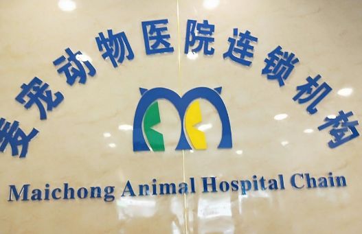 麦宠动物医院(固安分院)——全方位医疗服务