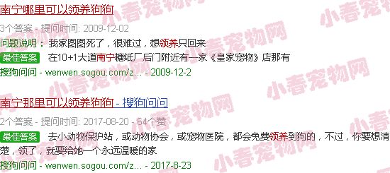 南宁哪里可以领养狗狗