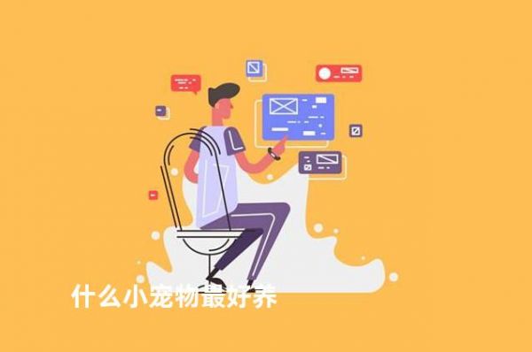 什么小宠物最好养