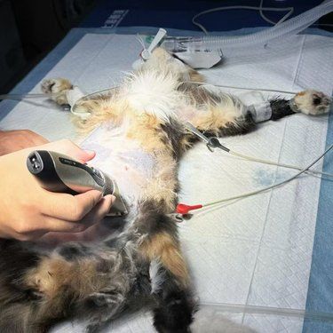 感谢医生的每一天