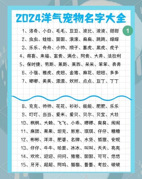 跳跳妹妹的宠物狗名字由来 每个名字都有暖心故事