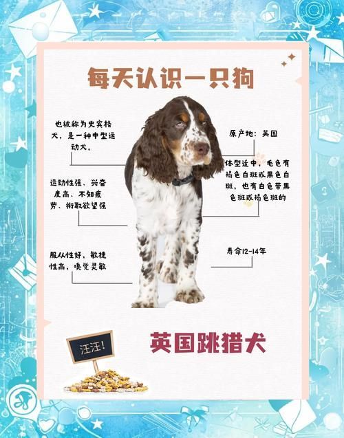 跳跳妹妹的宠物狗名字由来 每个名字都有暖心故事