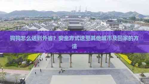 狗狗怎么送到外省？安全方式送至其他城市及回家的方法