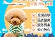 来凤专车托运-运输所需证件全