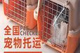 巴东附近托运-客车托运狗点对点全程高速