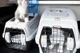 恩施宠物出国托运专车托运