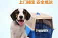恩施宠物托运物流靠谱猫咪狗狗搬家运输