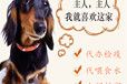 利川托运费用-汽车带托运上门接送