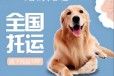 宠物托运）恩施宠物猫托运宠物活体运输